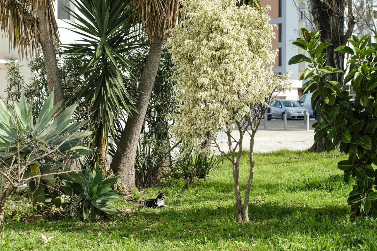 Olive Grove Apartment By Trip2Portugal Lisboa Kültér fotó