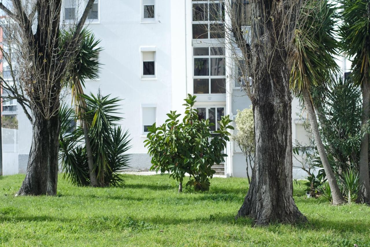 Olive Grove Apartment By Trip2Portugal Lisboa Kültér fotó